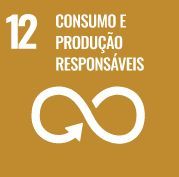 ODS 12